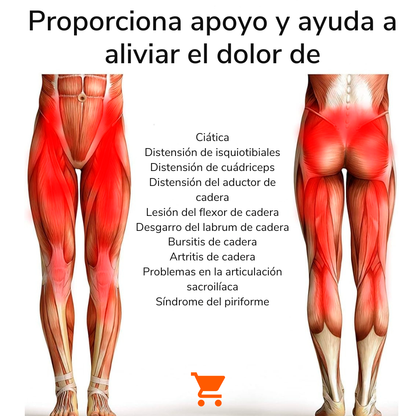 FlexWrap™ - Soporte de cadera